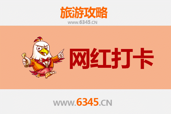 崇左大新网红打卡地全攻略：德天瀑布与明仕田园的秘境之旅